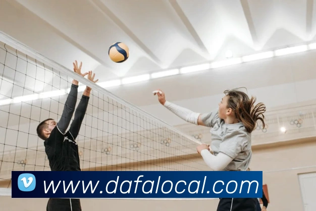 大发官网APP 封面图